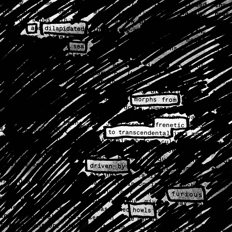 erasure poem: a dilapidated sea / morphs from frantic to transcendental / driven by furious howls