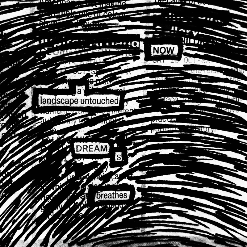 erasure poem: Now a landscape untouched / dreams / breathes