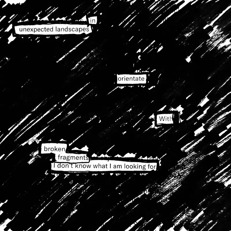 Warning: You are out of bounds. Return to the map. erasure poem: In unexpected landscapes/ orient yourself with broken fragments./ I don't know what I'm looking for.